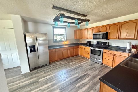 House in Fish Hawk, Florida 4 bedrooms, 228.91 sq.m. № 1745017 - photo 7