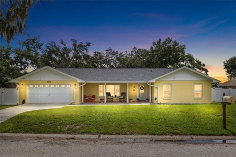Villa ou maison à Valrico, Floride 3 chambres, 211.26 m2 № 2196257
