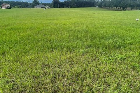 Land in Hernando, Florida № 2367347