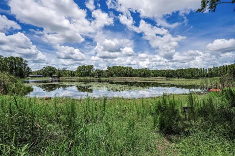 Terreno en venta en Land O' Lakes, Florida № 1886814 - foto 3