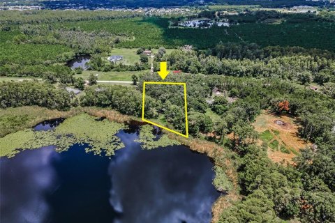Terreno en venta en Land O' Lakes, Florida № 1886814 - foto 2