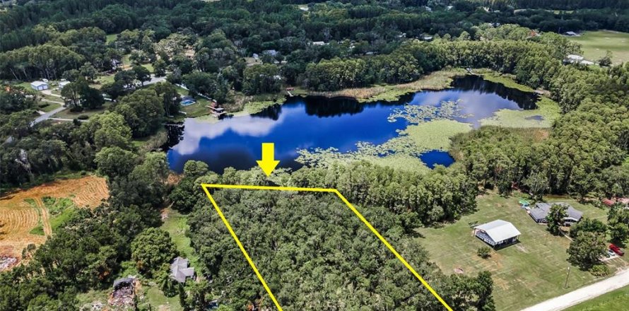 Terreno en Land O' Lakes, Florida № 1886814