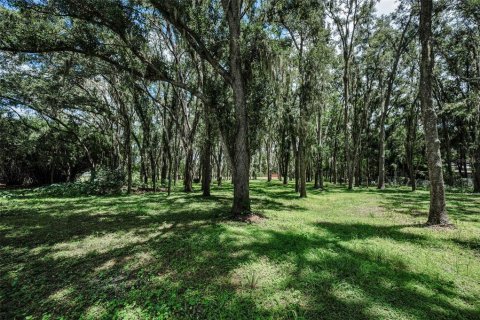 Terreno en venta en Land O' Lakes, Florida № 1886814 - foto 9