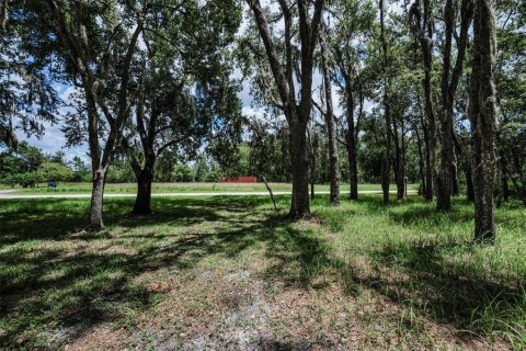 Terreno en venta en Land O' Lakes, Florida № 1886814 - foto 10