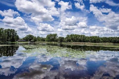 Terreno en venta en Land O' Lakes, Florida № 1886814 - foto 6