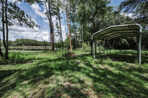 Terreno en venta en Land O' Lakes, Florida № 1886814 - foto 5