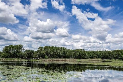 Terreno en venta en Land O' Lakes, Florida № 1886814 - foto 7