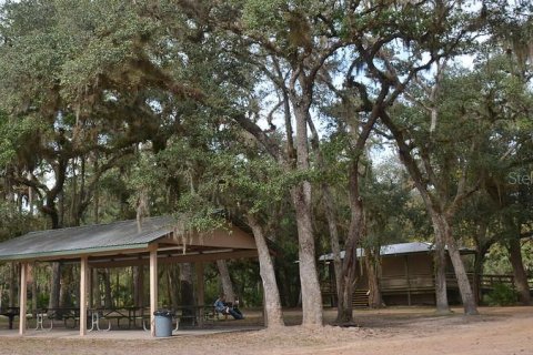 Land in Bunnell, Florida № 1883088 - photo 7