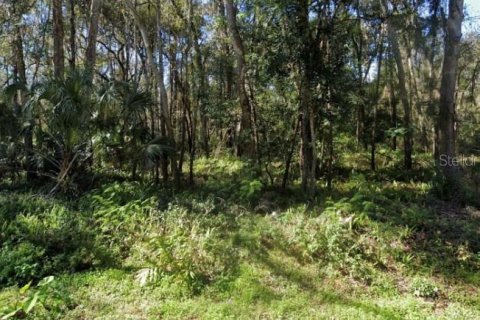 Terreno en venta en Brooksville, Florida № 1325054 - foto 1