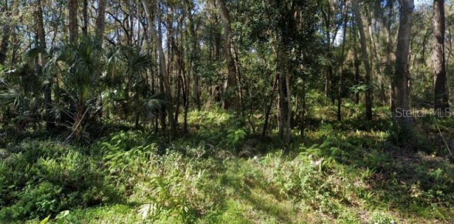 Terreno en Brooksville, Florida № 1325054