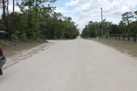 Land in Bronson, Florida № 2159661 - photo 2