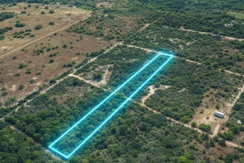 Land in Bronson, Florida № 2159661