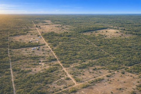 Land in Bronson, Florida № 2159661 - photo 7