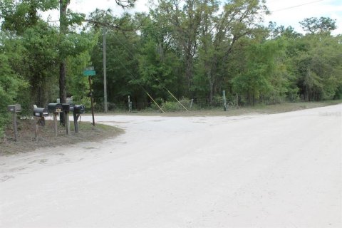 Land in Bronson, Florida № 2159661 - photo 11