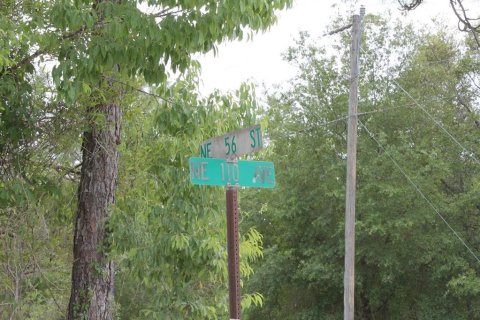 Land in Bronson, Florida № 2159661 - photo 6