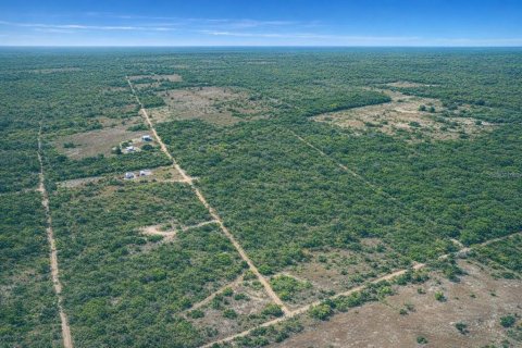Land in Bronson, Florida № 2159661 - photo 8