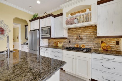Casa en venta en Howey-in-the-Hills, Florida, 5 dormitorios, 461.35 m2 № 1899312 - foto 15