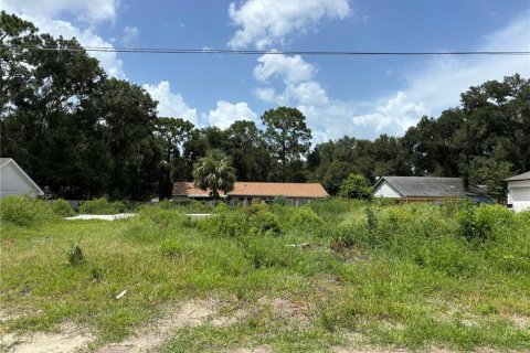 Terreno en venta en Sorrento, Florida № 1849846 - foto 1