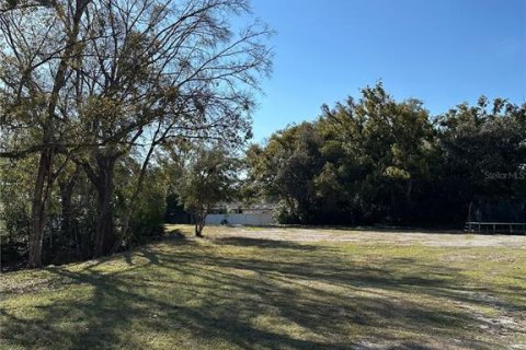 Land in Lutz, Florida № 2123424 - photo 3