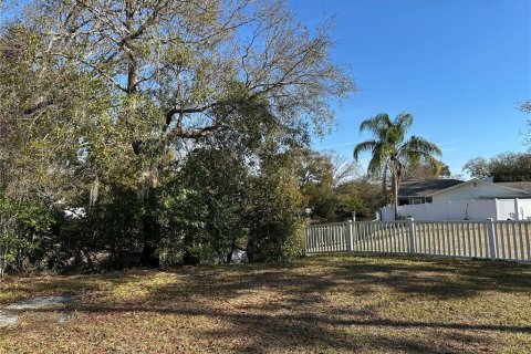 Land in Lutz, Florida № 2123424 - photo 6