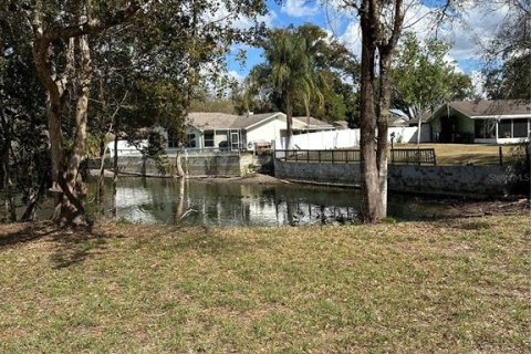 Land in Lutz, Florida № 2123424 - photo 8