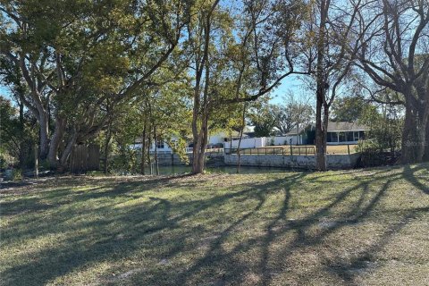 Land in Lutz, Florida № 2123424 - photo 2