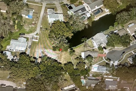 Land in Lutz, Florida № 2123424 - photo 13
