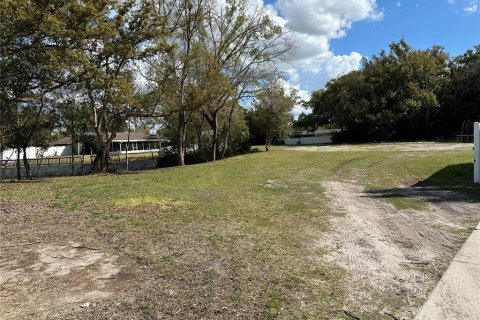 Terrain à Lutz, Floride № 2123424