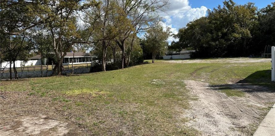 Land in Lutz, Florida № 2123424