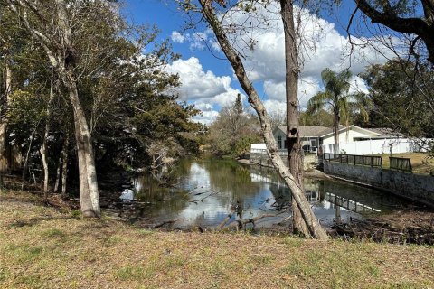 Land in Lutz, Florida № 2123424 - photo 9