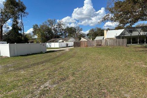 Land in Lutz, Florida № 2123424 - photo 11