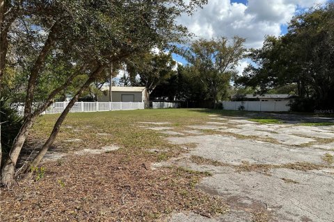 Land in Lutz, Florida № 2123424 - photo 4