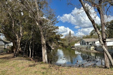 Land in Lutz, Florida № 2123424 - photo 5