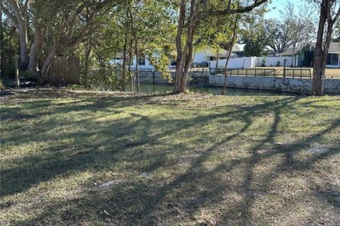 Land in Lutz, Florida № 2123424 - photo 7