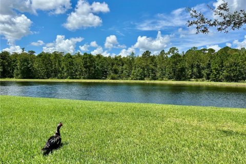 Condo in Orlando, Florida, 3 bedrooms  № 1887123 - photo 27