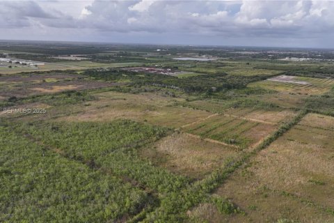 Terrain à Homestead, Floride № 2038789