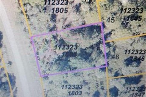 Land in North Port, Florida № 2160163 - photo 2