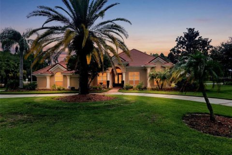 Villa ou maison à vendre à Lutz, Floride: 4 chambres, 300.35 m2 № 2225496 - photo 2