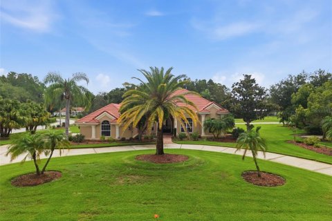 Casa en Lutz, Florida 4 dormitorios, 300.35 m2 № 2225496