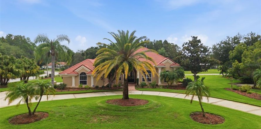 Villa ou maison à Lutz, Floride 4 chambres, 300.35 m2 № 2225496