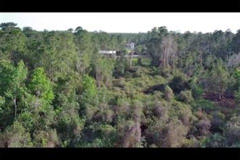 Terrain à vendre à New Smyrna Beach, Floride № 1754721 - photo 4