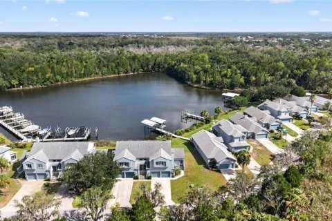 Condo in Crystal River, Florida, 3 bedrooms  № 2203483