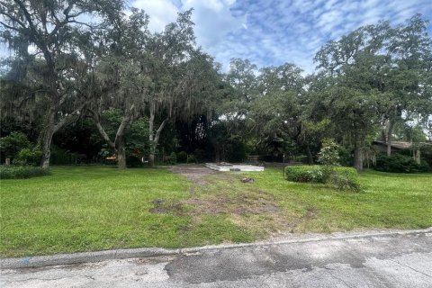 Land in Seffner, Florida № 1685397 - photo 1