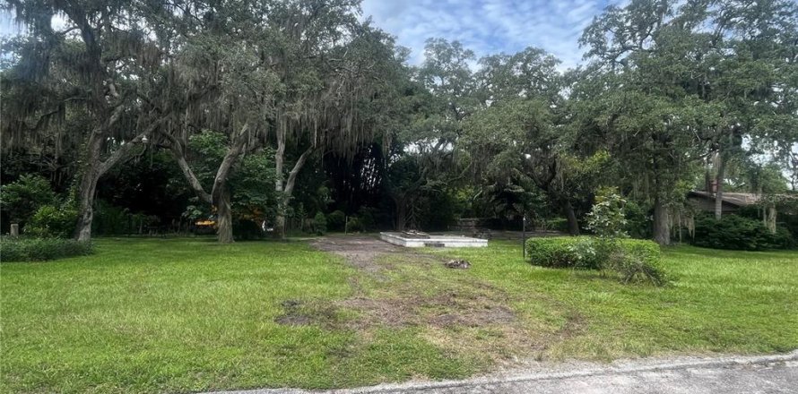 Land in Seffner, Florida № 1685397