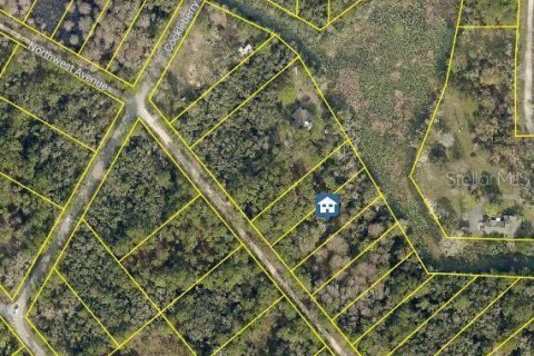 Land in Webster, Florida № 2162449