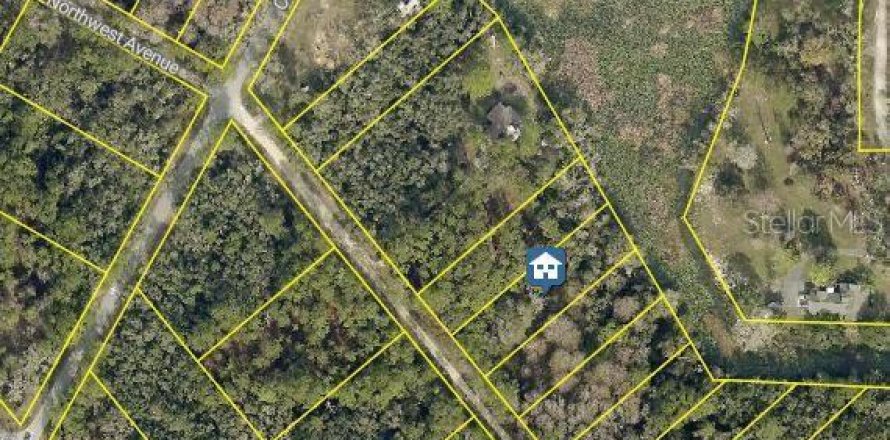Land in Webster, Florida № 2162449