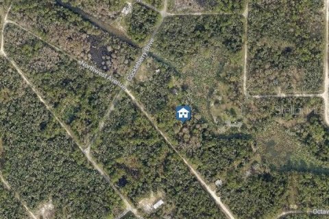 Land in Webster, Florida № 2162449 - photo 2