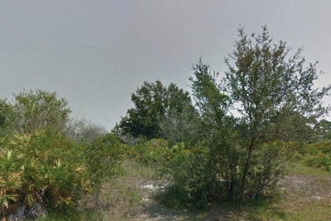 Land in Lake Placid, Florida № 2161757