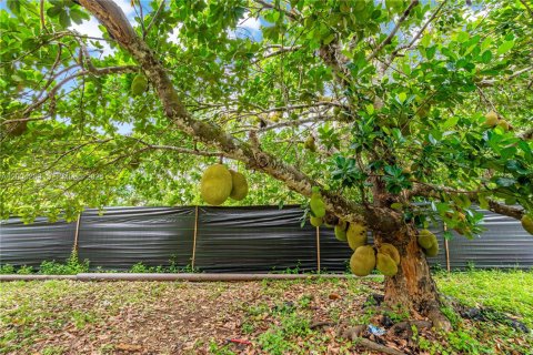 Villa ou maison à vendre à Homestead, Floride: 3 chambres, 223.62 m2 № 2068428 - photo 19
