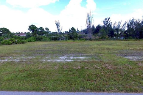Land in Cape Coral, Florida № 725453 - photo 2